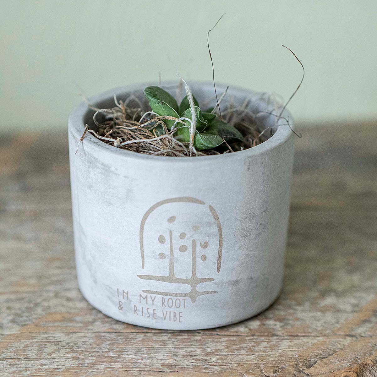 petite form & foliage~ spring glyph