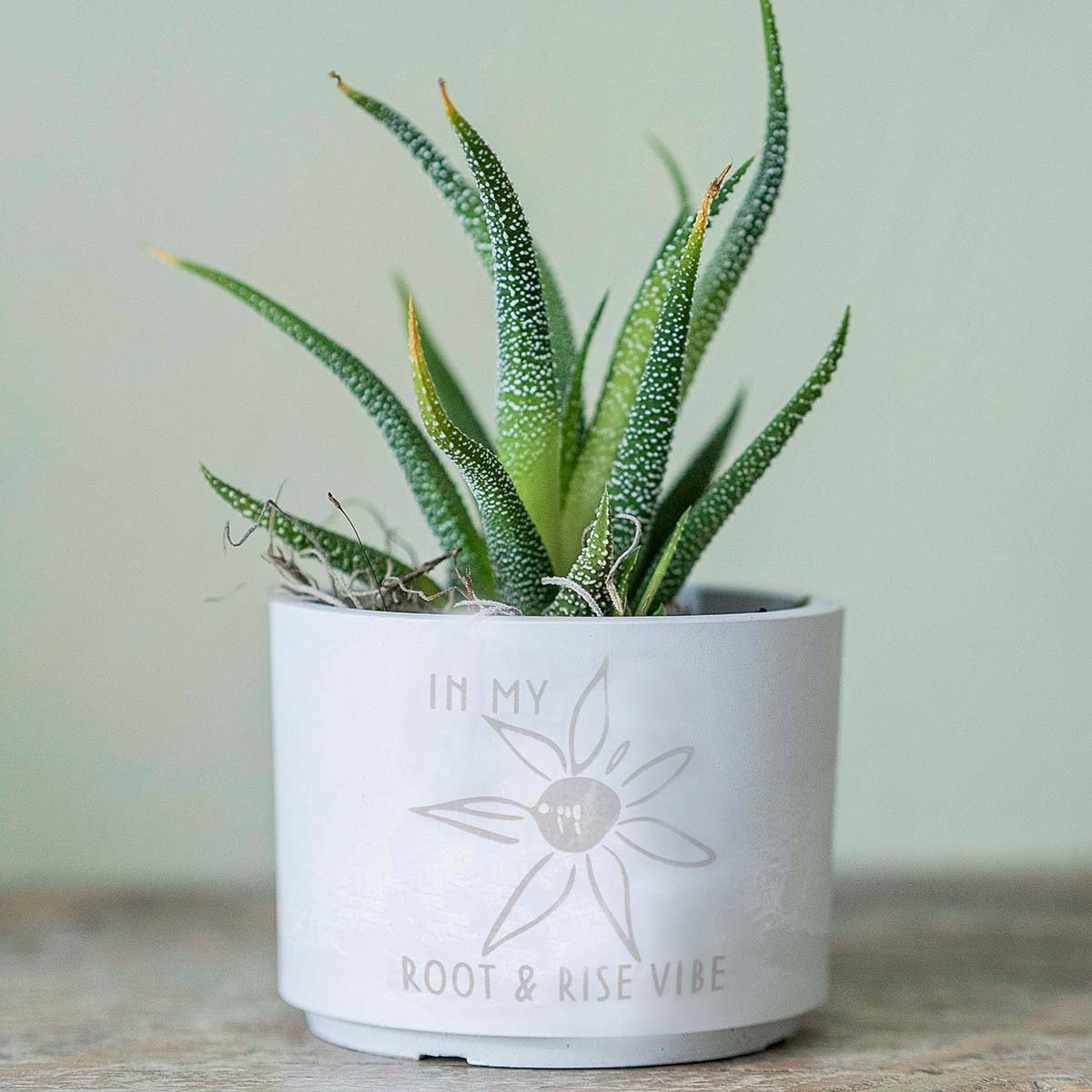 petite form & foliage~ summer glyph