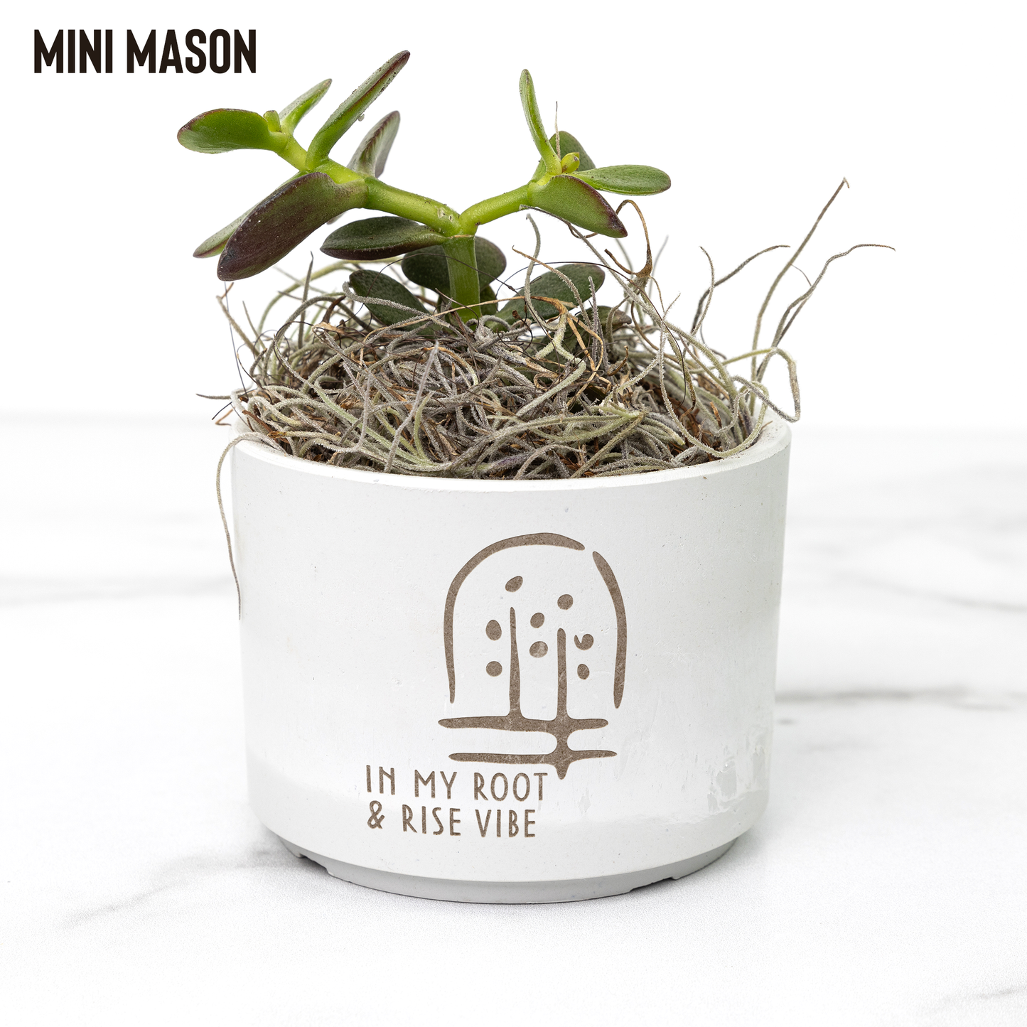 Petite_plant_spring_Mason_Mockup_Mockup.png
