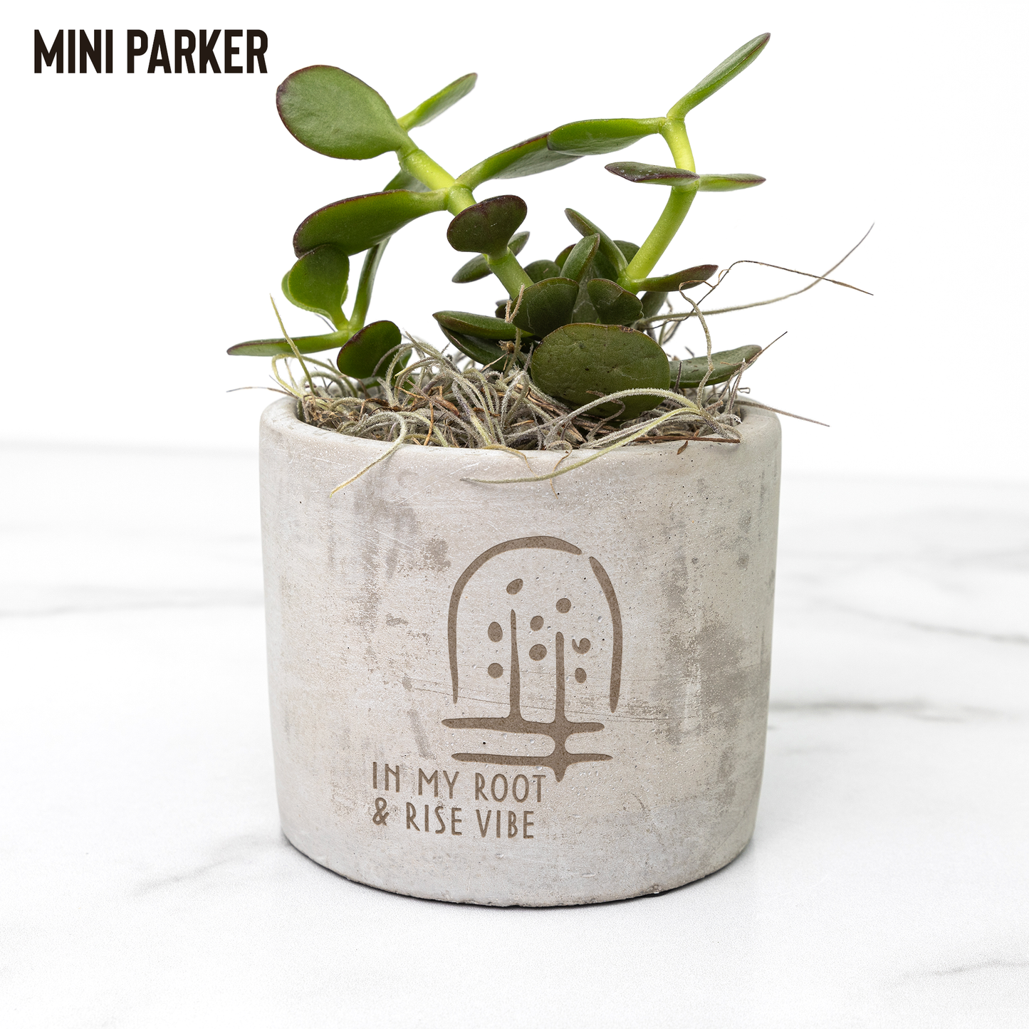 Petite_plant_spring_Parker_Mockup_Mockup.png