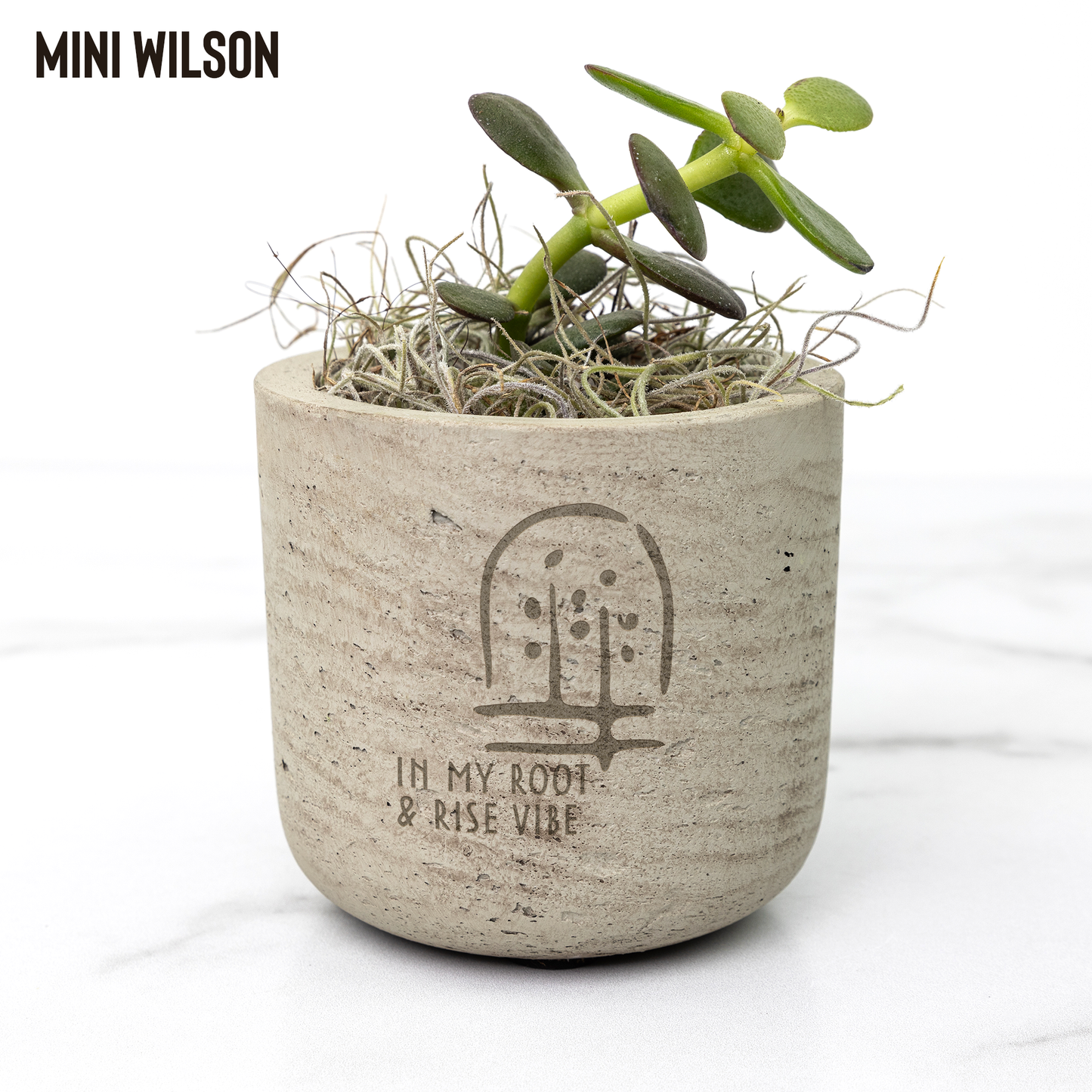 Petite_plant_spring_Wilson_Mockup_Mockup.png