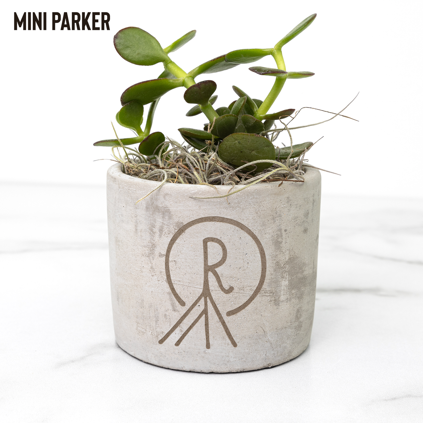 Rootstock_Goods_logo_petite_plant_Parker_Mockup_Mockup.png