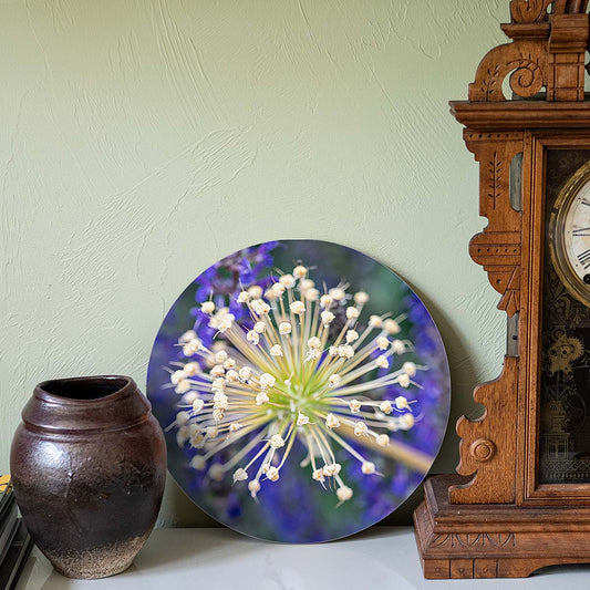 grained by season~ allium summer wood sign 12" (round)