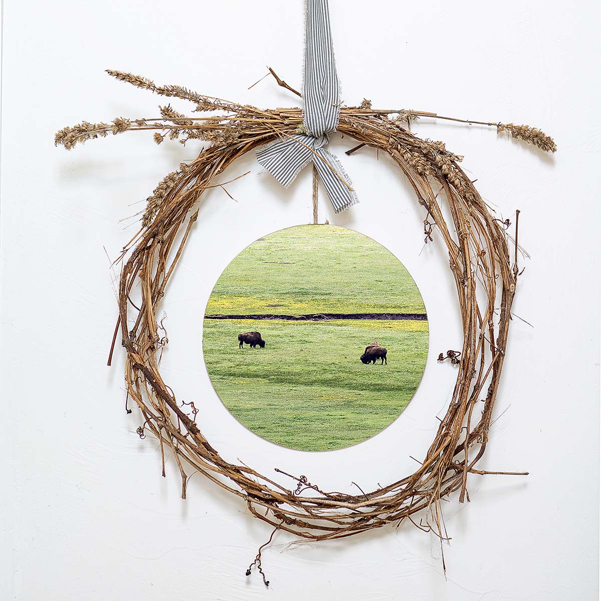 grained by season~ spring bison wood sign 12" (round)