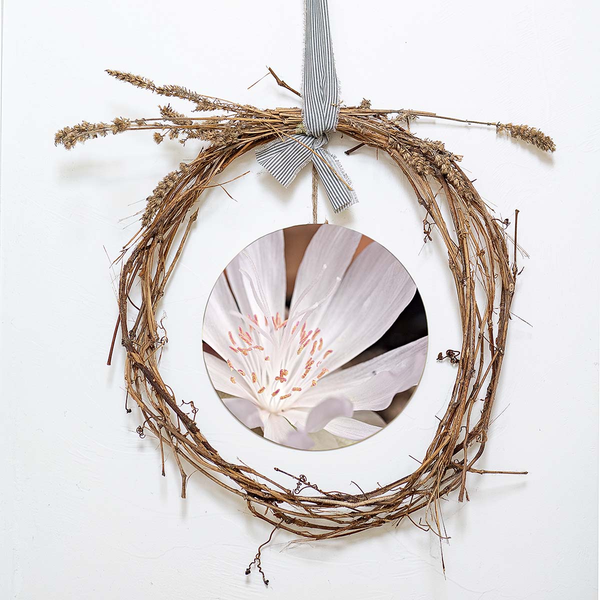 grained by season~ spring bitterroot wood sign 12" (round)