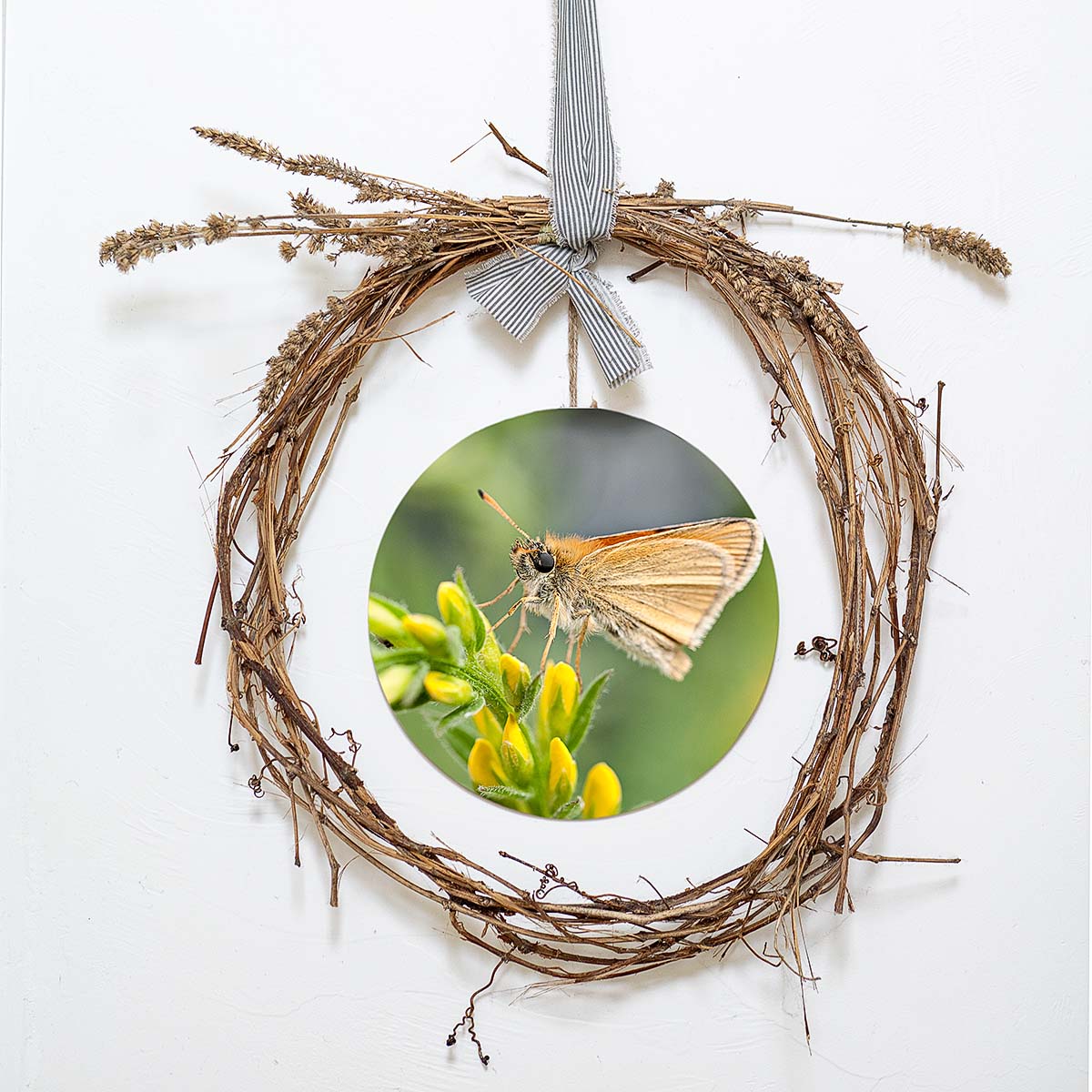 grained by season~ summer butterfly wood sign 12" (round)