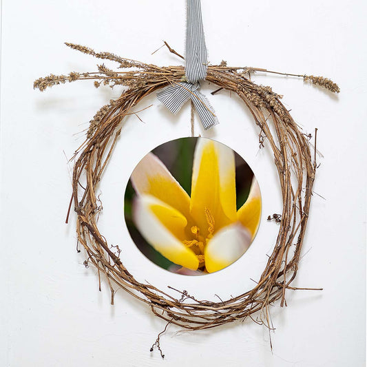 grained by season~ yellow tulip spring wood sign 12" (round)