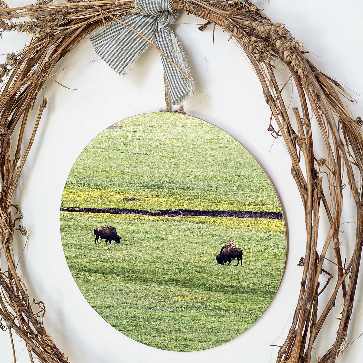 grained by season~ spring bison wood sign 12" (round)