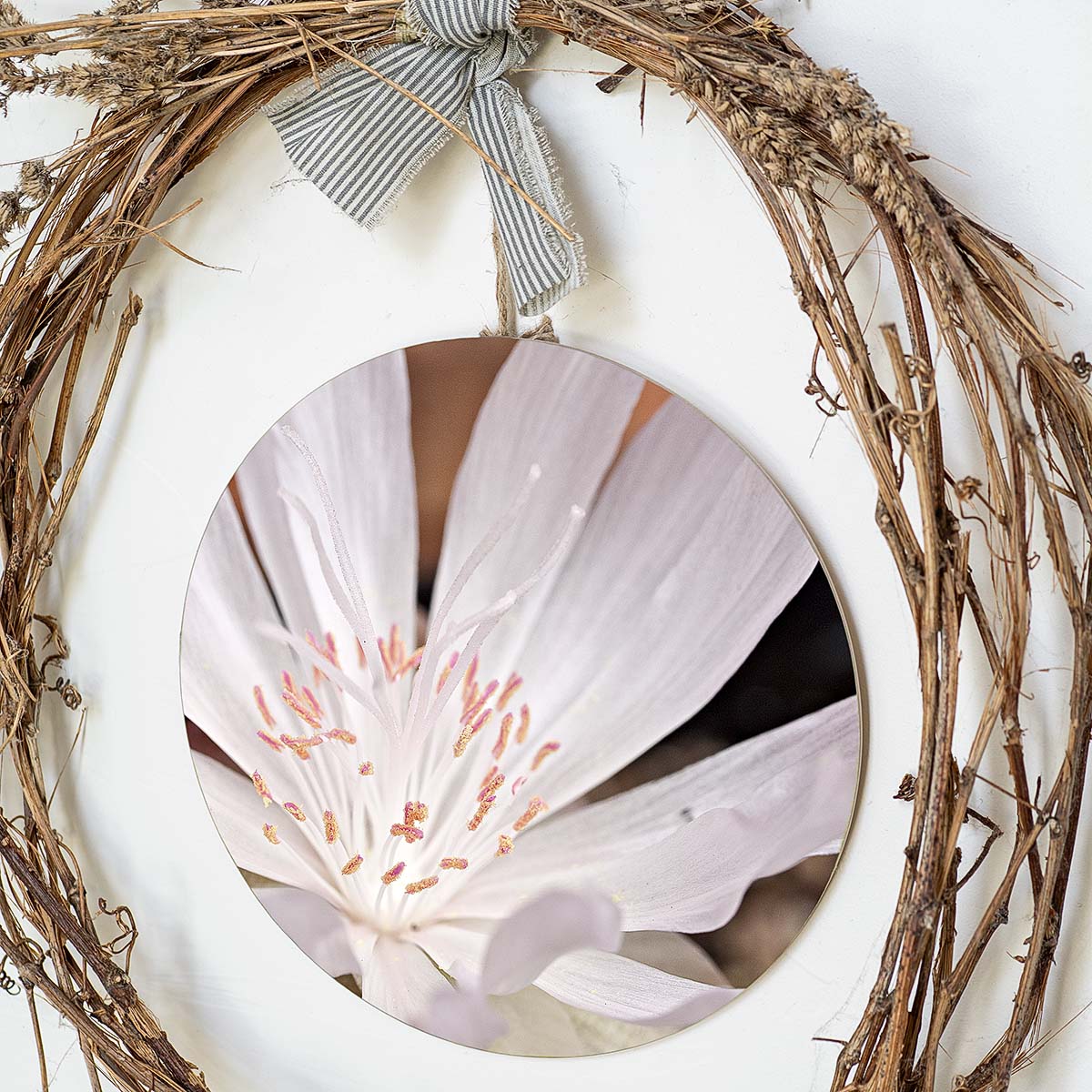 grained by season~ spring bitterroot wood sign 12" (round)