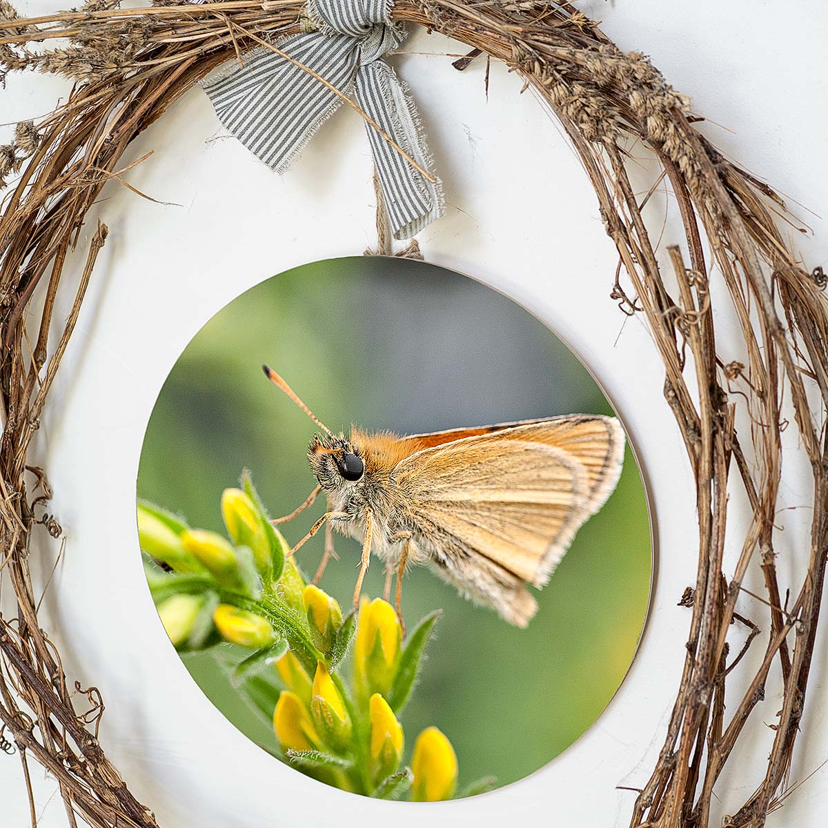 grained by season~ summer butterfly wood sign 12" (round)
