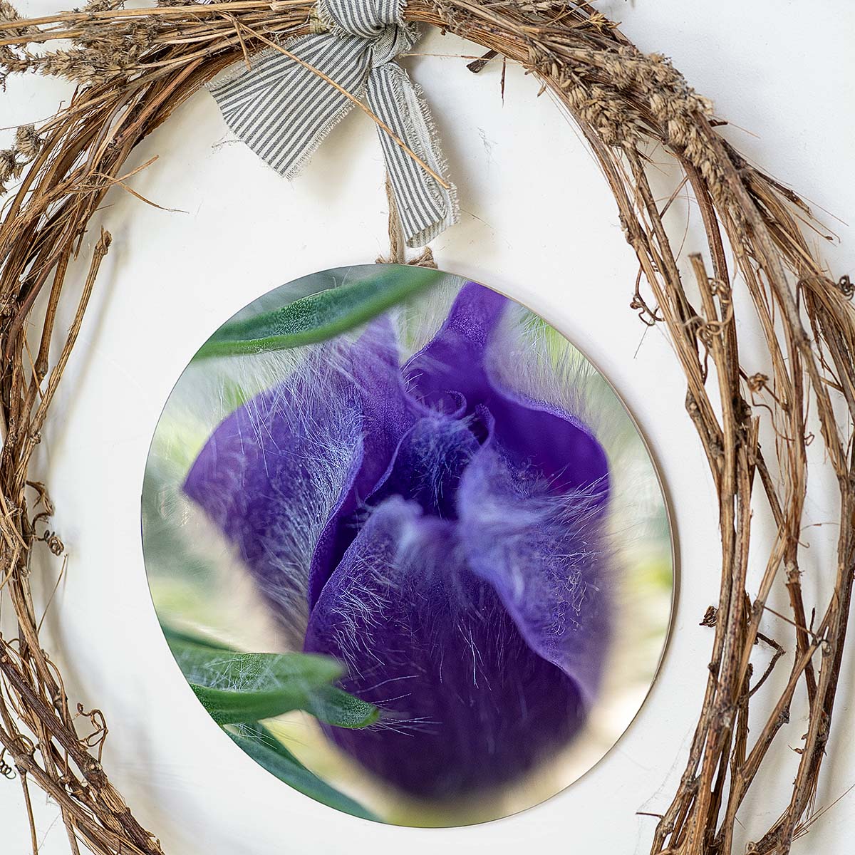 grained by season~ spring pasque flower wood sign 12" (round)