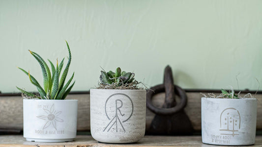 petite form & foliage~ spring glyph