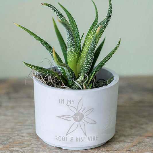 petite form & foliage~ summer glyph