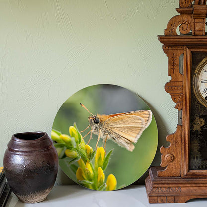 grained by season~ summer butterfly wood sign 12" (round)
