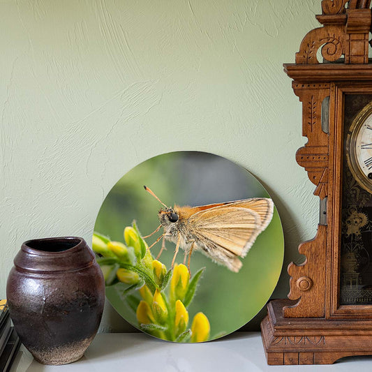 grained by season~ summer butterfly wood sign 12" (round)