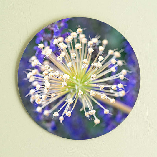 grained by season~ summer allium wood sign 12" (round)