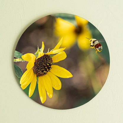 grained by season~ summer sunflower bumble bee wood sign 12" (round)