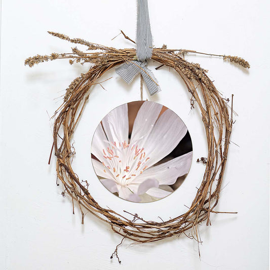 grained by season~ spring bitterroot wood sign 12" (round)