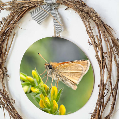 grained by season~ summer butterfly wood sign 12" (round)