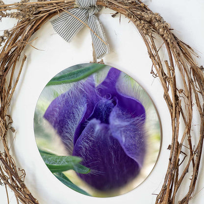 grained by season~ spring pasque flower wood sign 12" (round)